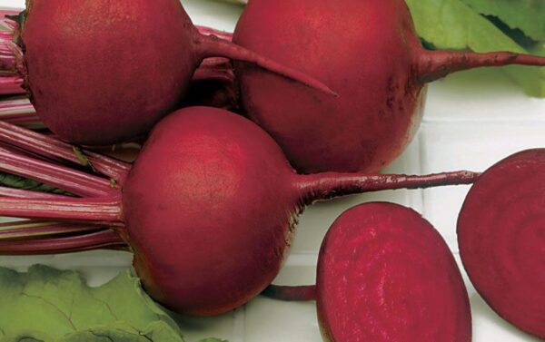 Beetroot Detroit Dark Red