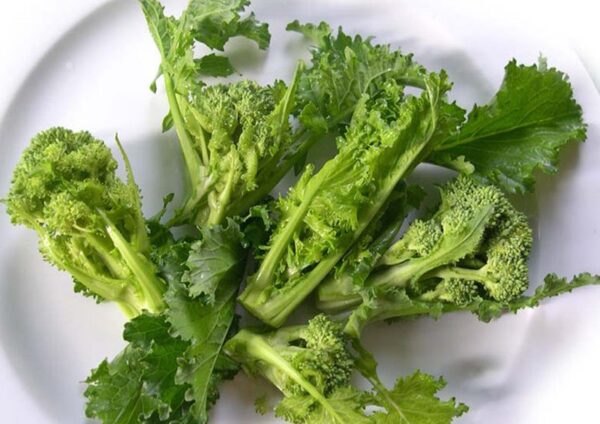 Broccoletto Quarantino Riccio