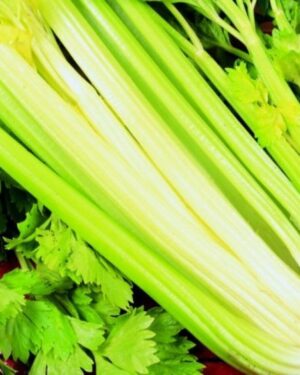Celery – Golden Self Blanching