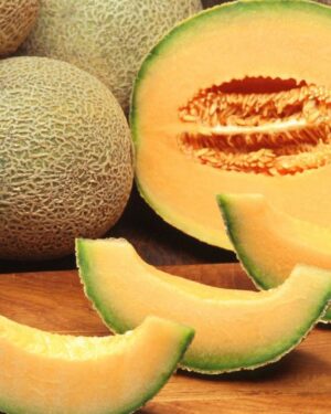 Melon Cantaloupe Di Charentais