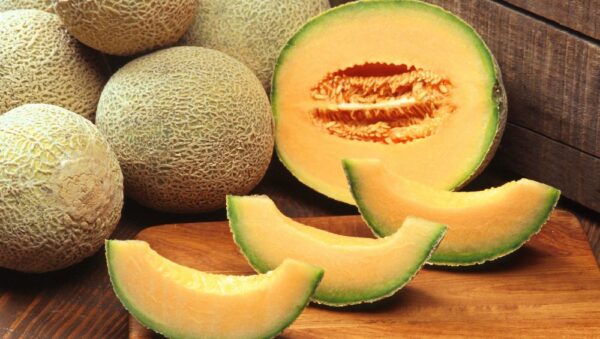 Melon Cantaloupe Di Charentais