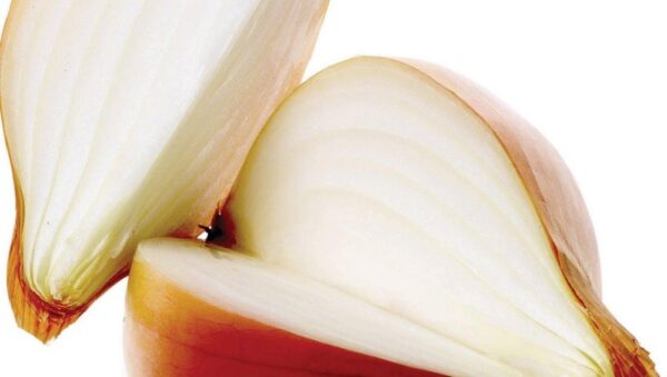 ONION – SANTERO F1