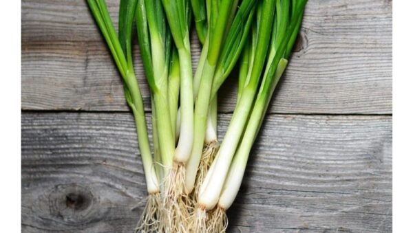 Onion Bunching (Spring) White Lisbon