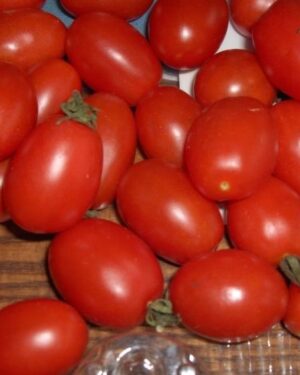 Tomato – Principe Borghese