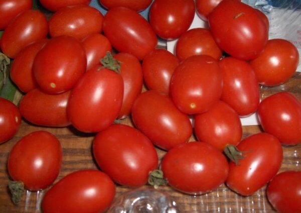 Tomato – Principe Borghese