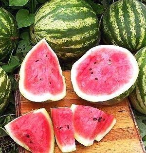 Water Melon – Cal Sweet