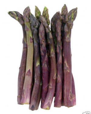 Asparagus Precoce D’Argentuil