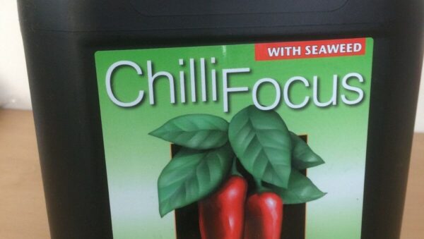 CHILI FOCUS HOT PEPPER PLANT FEED