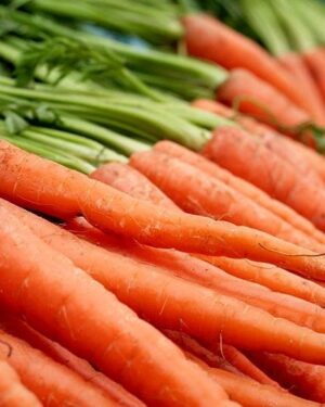 Carrot Scarlet Nantes Sensational
