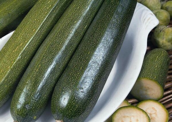 Courgette Green Bush Vegetable