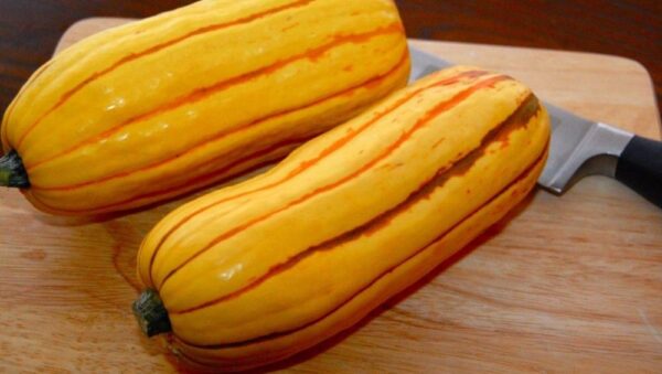 Delicata Squash Organic Seeds