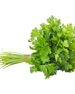 HERB PARSLEY PLAIN LEAVED (FRENCH)