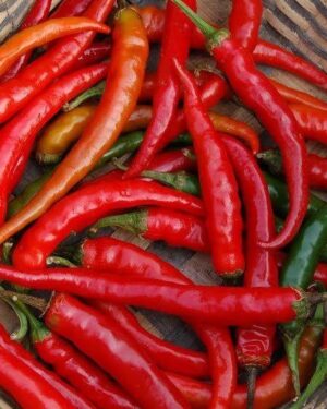 Hot Chilli Pepper – Ring of Fire Organic