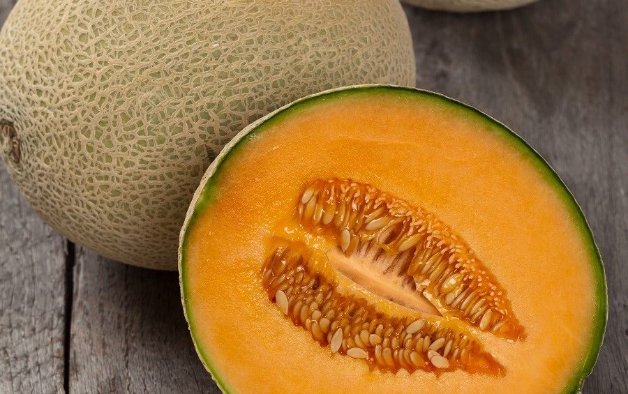 Moederland terugtrekken Civic Melon Cantaloupe Hales Best Jumbo Organic - Chiltern Seeds Direct