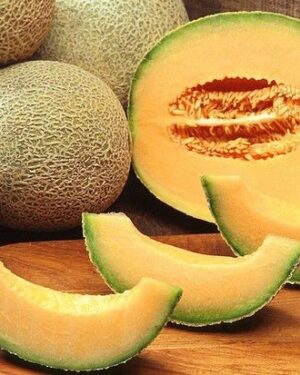 Melon Cantaloupe Hearts of Gold Organic