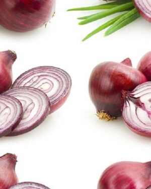 Onion Red Amposta Organic