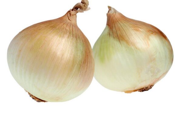 Onion Walla Walla organic