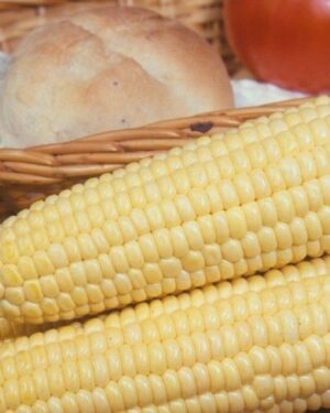 Sweet Corn Golden Bantam Organic