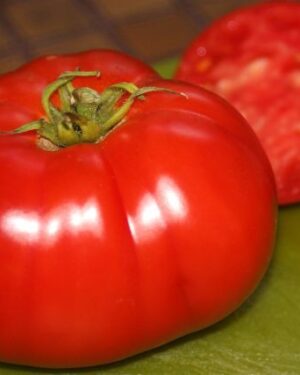 Tomato Delicious Organic Seeds