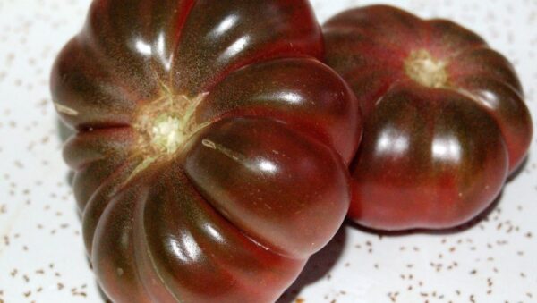 Tomato Purple Calabash Organic