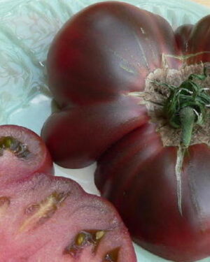 Tomato Purple Cherokee Organic new