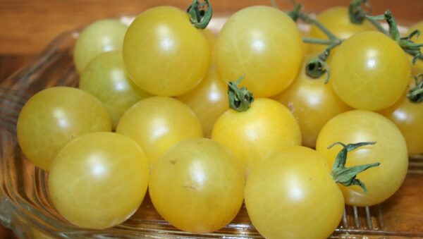 Tomato White Cherry Organic